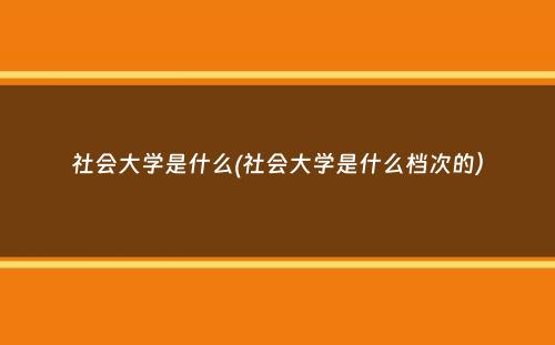 社会大学是什么(社会大学是什么档次的）