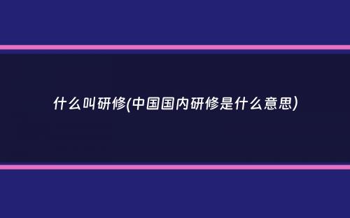 什么叫研修(中国国内研修是什么意思）