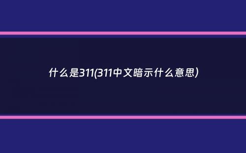 什么是311(311中文暗示什么意思）