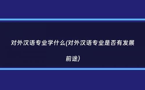 对外汉语专业学什么(对外汉语专业是否有发展前途）