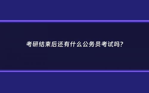 考研结束后还有什么公务员考试吗？