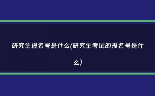 研究生报名号是什么(研究生考试的报名号是什么）