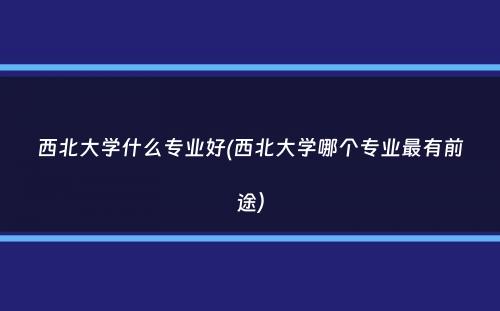 西北大学什么专业好(西北大学哪个专业最有前途）