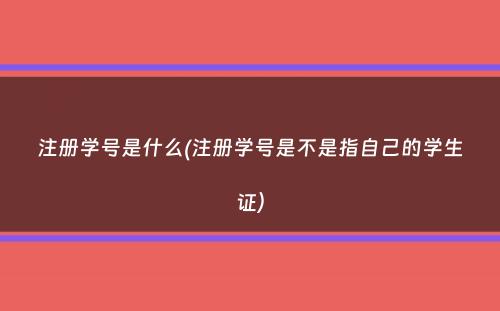 注册学号是什么(注册学号是不是指自己的学生证）