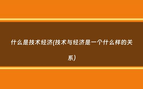 什么是技术经济(技术与经济是一个什么样的关系）