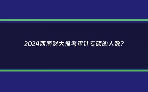 2024西南财大报考审计专硕的人数？