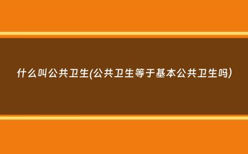 什么叫公共卫生(公共卫生等于基本公共卫生吗）