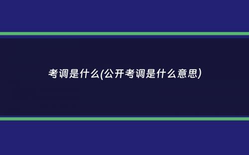 考调是什么(公开考调是什么意思）