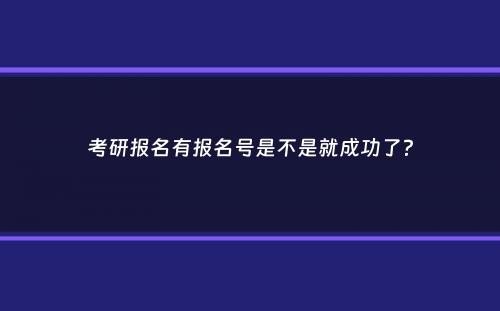 考研报名有报名号是不是就成功了？