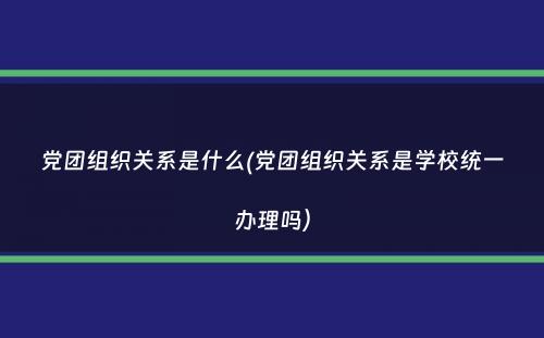 党团组织关系是什么(党团组织关系是学校统一办理吗）