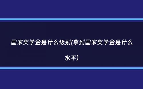 国家奖学金是什么级别(拿到国家奖学金是什么水平）