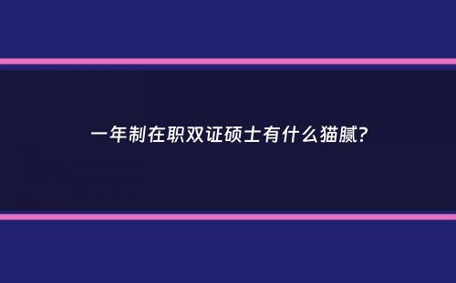 一年制在职双证硕士有什么猫腻？