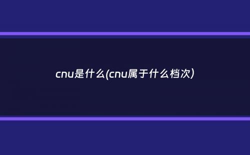 cnu是什么(cnu属于什么档次）