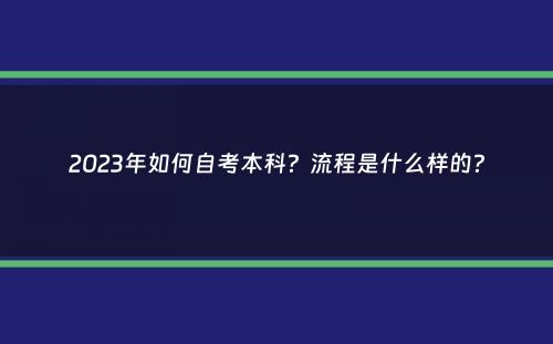 2023年如何自考本科？流程是什么样的？