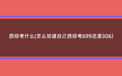 西综考什么(怎么知道自己西综考699还是306）