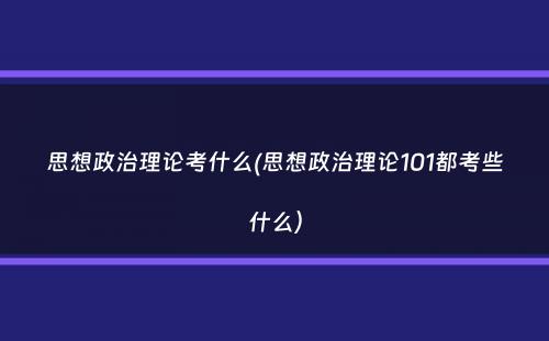 思想政治理论考什么(思想政治理论101都考些什么）