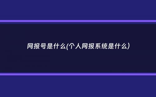 网报号是什么(个人网报系统是什么）