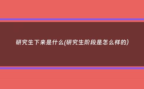 研究生下来是什么(研究生阶段是怎么样的）