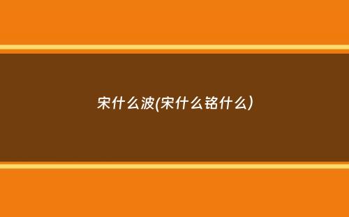 宋什么波(宋什么铭什么）