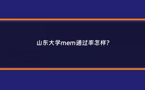 山东大学mem通过率怎样？