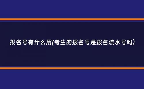 报名号有什么用(考生的报名号是报名流水号吗）