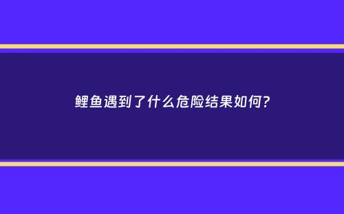 鲤鱼遇到了什么危险结果如何？