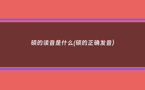 硕的读音是什么(硕的正确发音）