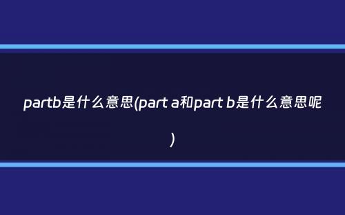 partb是什么意思(part a和part b是什么意思呢）