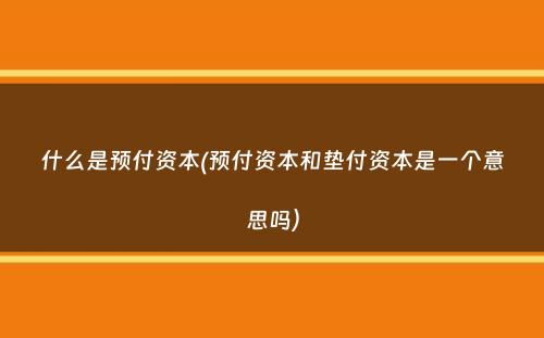 什么是预付资本(预付资本和垫付资本是一个意思吗）