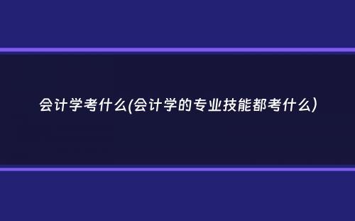 会计学考什么(会计学的专业技能都考什么）