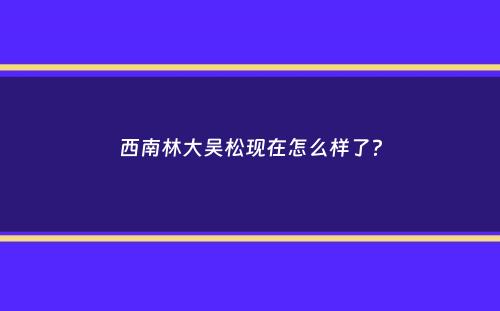 西南林大吴松现在怎么样了？