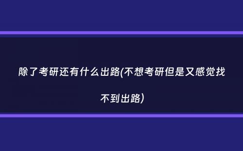 除了考研还有什么出路(不想考研但是又感觉找不到出路）