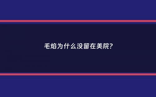 毛焰为什么没留在美院？