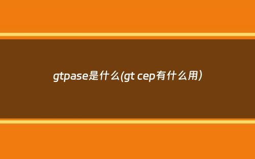 gtpase是什么(gt cep有什么用）