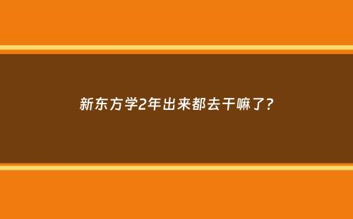 新东方学2年出来都去干嘛了？