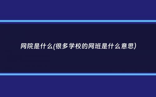 网院是什么(很多学校的网班是什么意思）