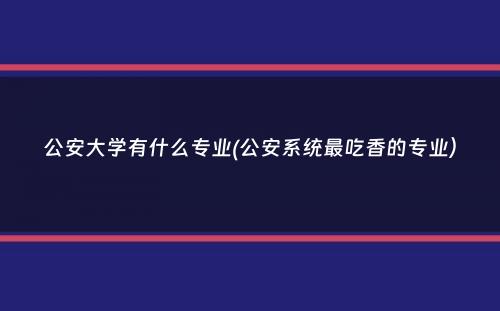 公安大学有什么专业(公安系统最吃香的专业）