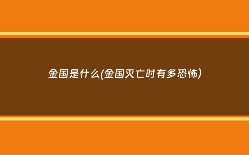 金国是什么(金国灭亡时有多恐怖）