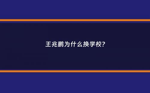 王兆鹏为什么换学校？