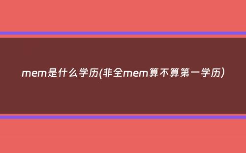 mem是什么学历(非全mem算不算第一学历）