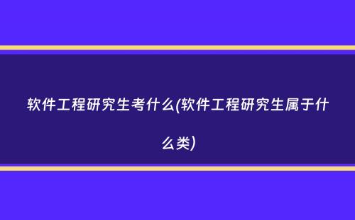 软件工程研究生考什么(软件工程研究生属于什么类）