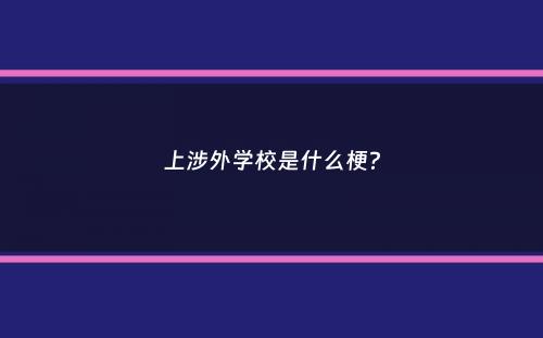 上涉外学校是什么梗？