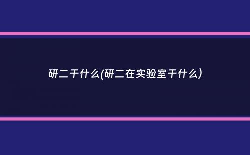 研二干什么(研二在实验室干什么）