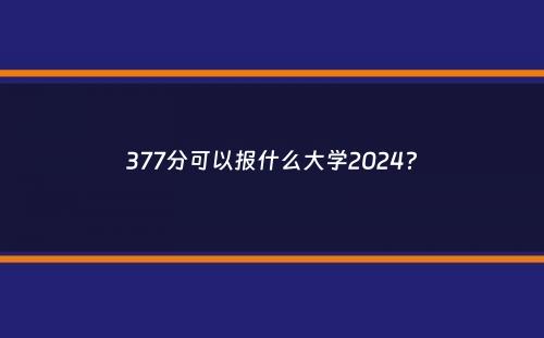 377分可以报什么大学2024？