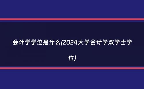 会计学学位是什么(2024大学会计学双学士学位）