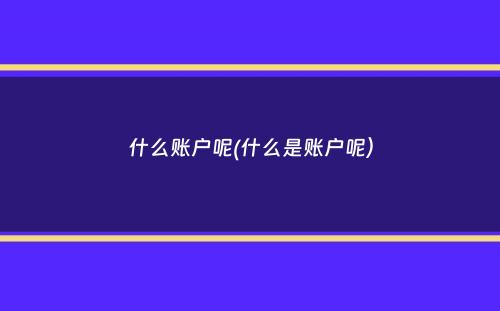 什么账户呢(什么是账户呢）