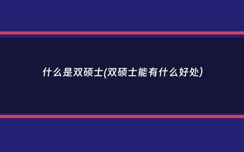 什么是双硕士(双硕士能有什么好处）