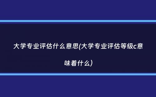 大学专业评估什么意思(大学专业评估等级c意味着什么）