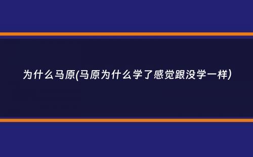 为什么马原(马原为什么学了感觉跟没学一样）