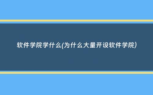 软件学院学什么(为什么大量开设软件学院）